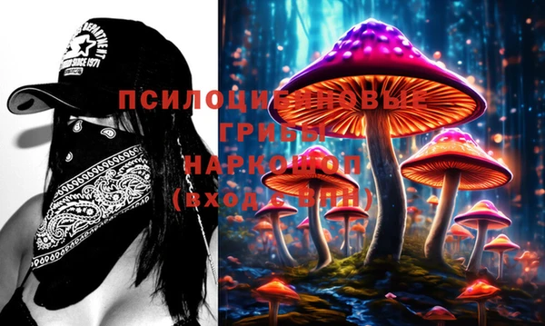 ECSTASY Мегион