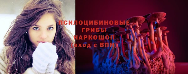ECSTASY Мегион