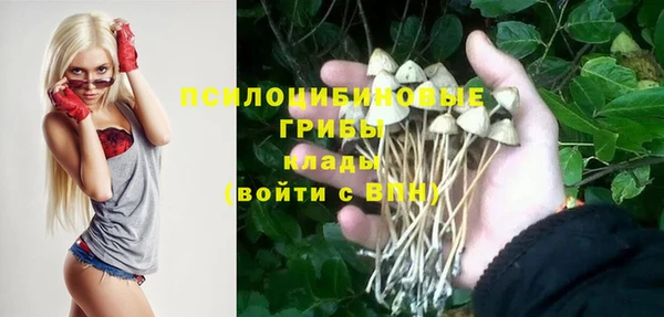 мдпв Медногорск
